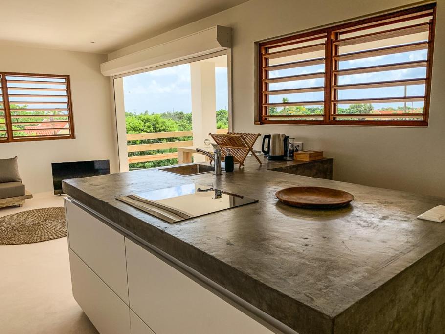 Isla Penthouse & Garden Apartments Bonaire クラレンダイク エクステリア 写真