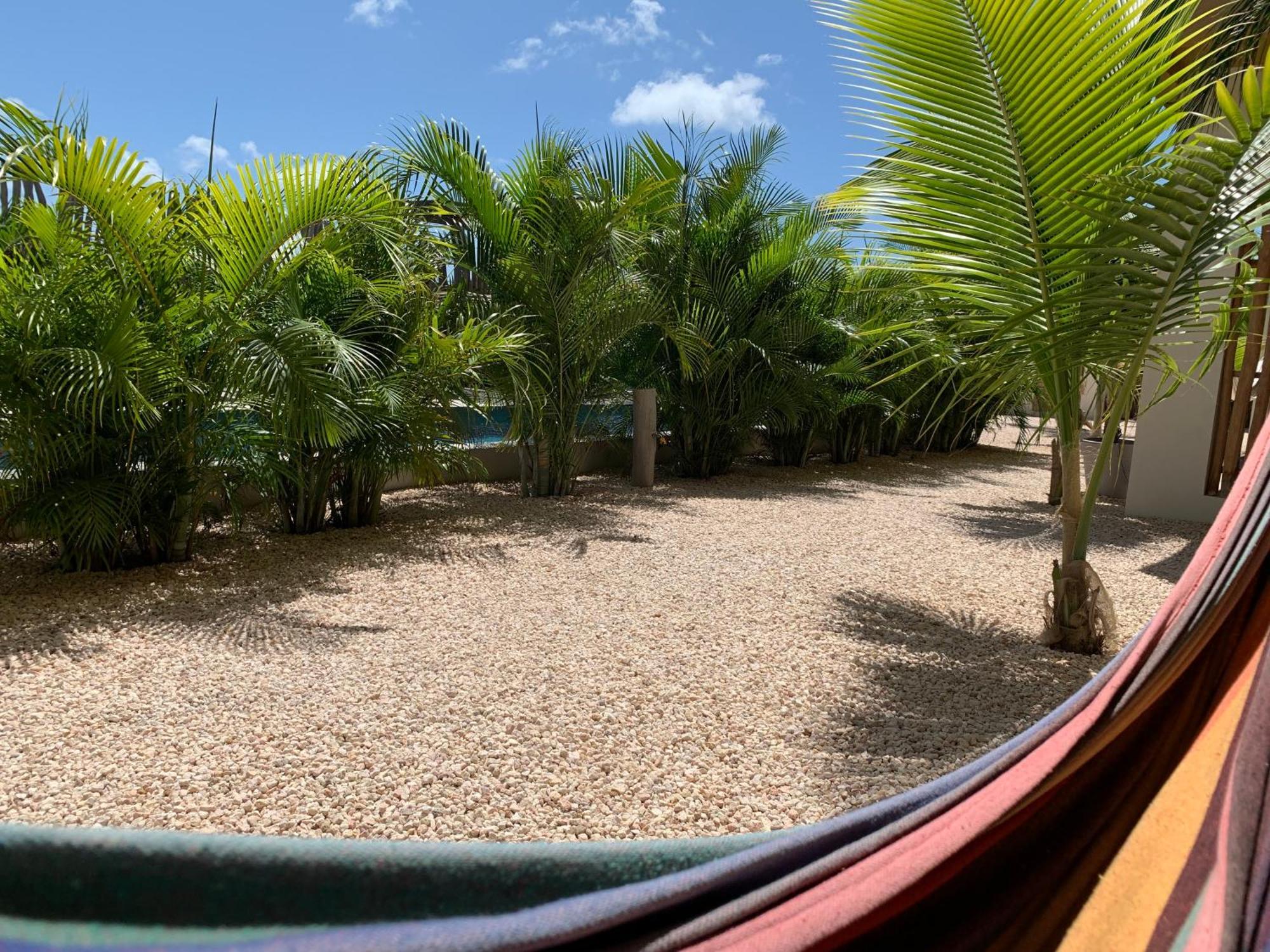 Isla Penthouse & Garden Apartments Bonaire クラレンダイク エクステリア 写真
